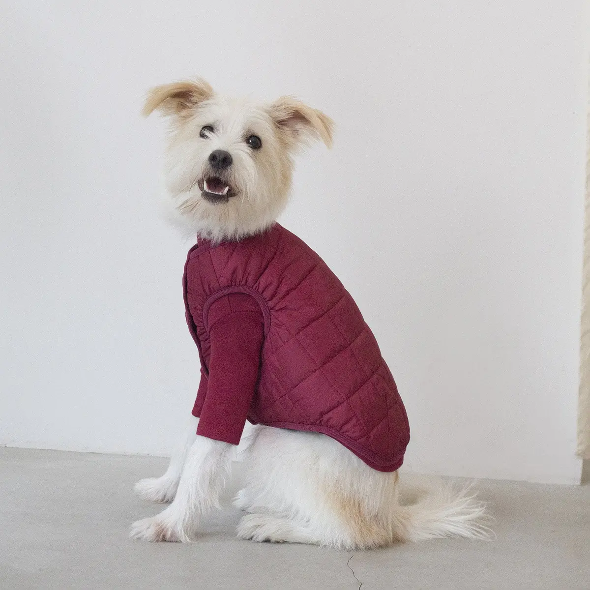 Dentists Appointment | Warm Quilted Vest In Burgundy (W/ Harness Hole) 1