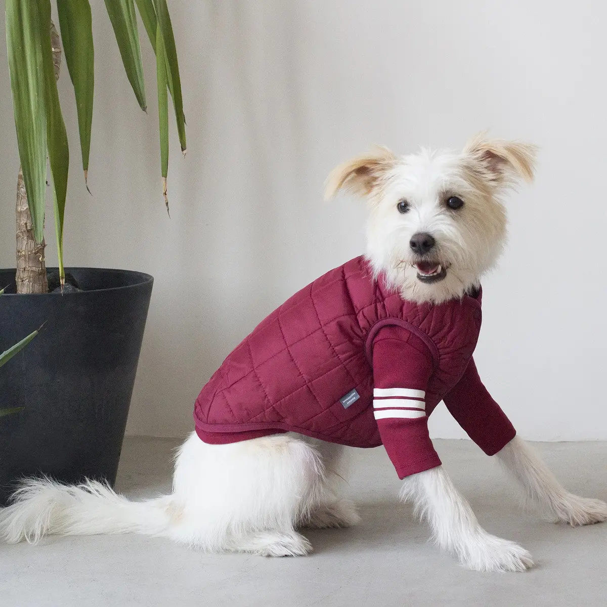 Dentists Appointment | Warm Quilted Vest In Burgundy (W/ Harness Hole) 6