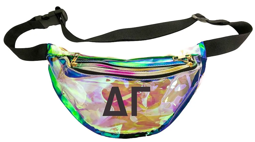 Delta Gamma Holographic Fanny Pack 1