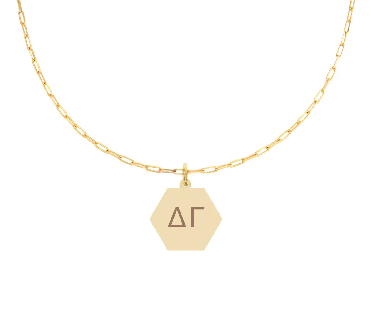 Delta Gamma Paperclip Necklace With Pendant 1