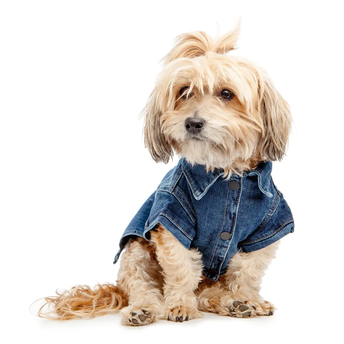 Dl1961 | Denim Jacket In Puppy Breath 1