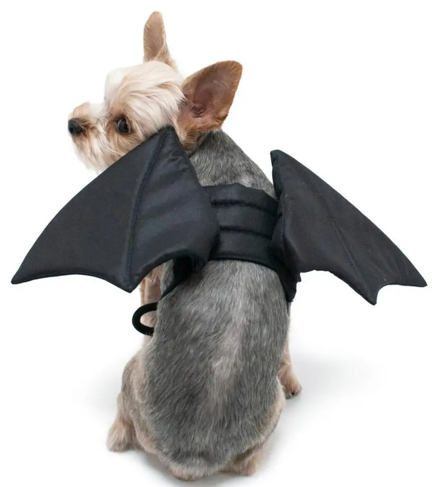 Adjustable Tie-On Bat Howl-O-Ween Dog Wings 1