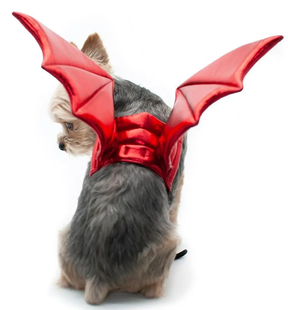 Adjustable Tie-On Dragon Howl-O-Ween Dog Wings In Red 1