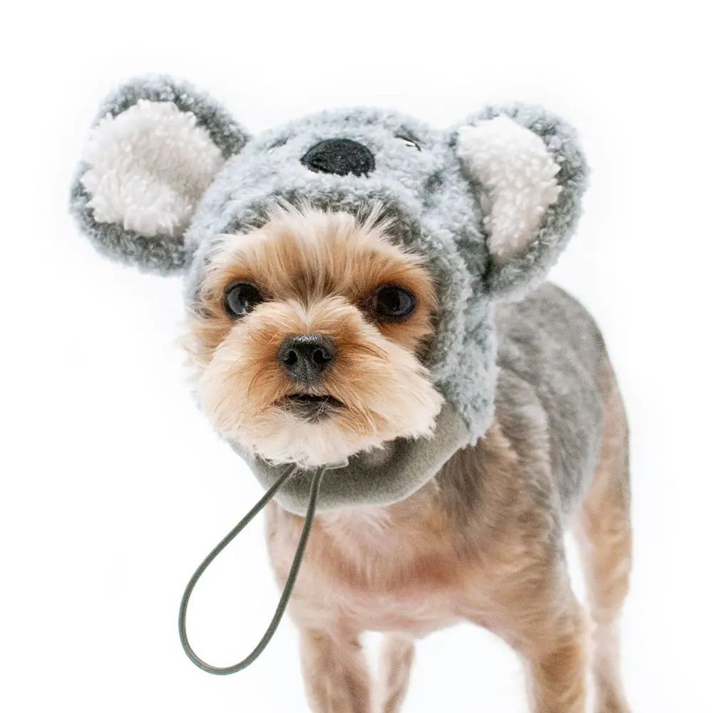 Dogo | Koala Hat 1