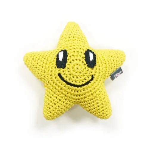 Star Squeaky Toy 1