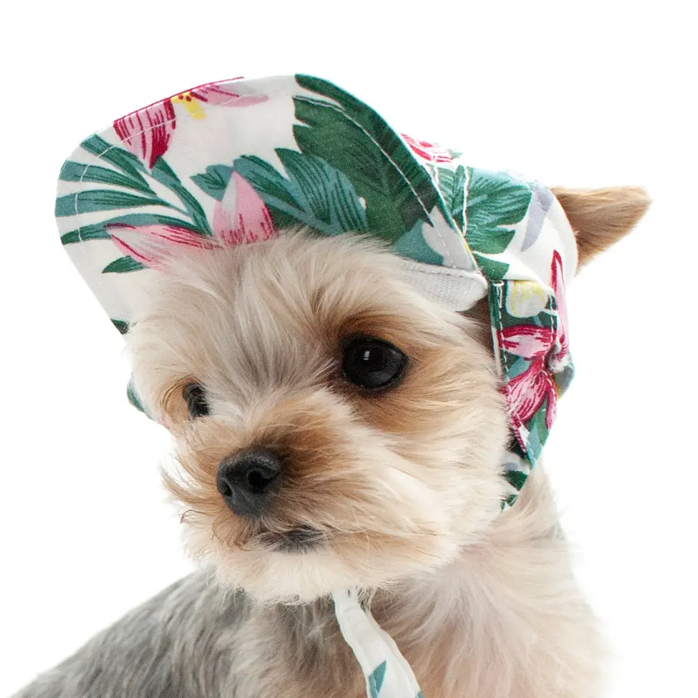 Dogo | Tropical Island Hat 1