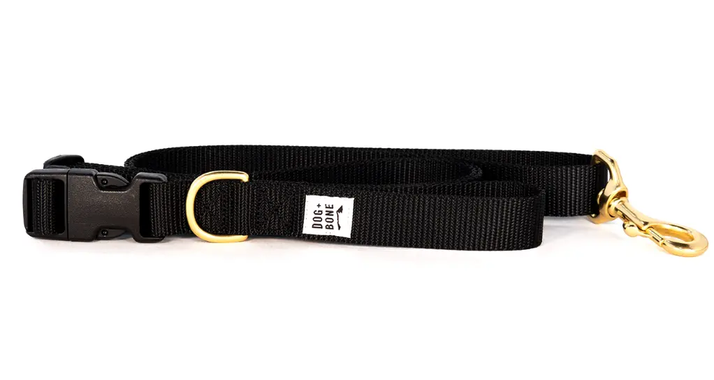 Dog + Bone | Adjustable Leash In Black 1