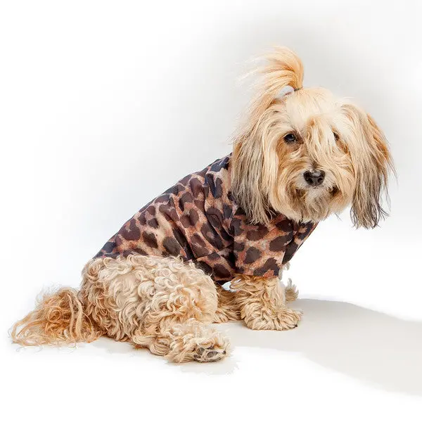 Eye Of Dog | Roaw Top In Leopard 1
