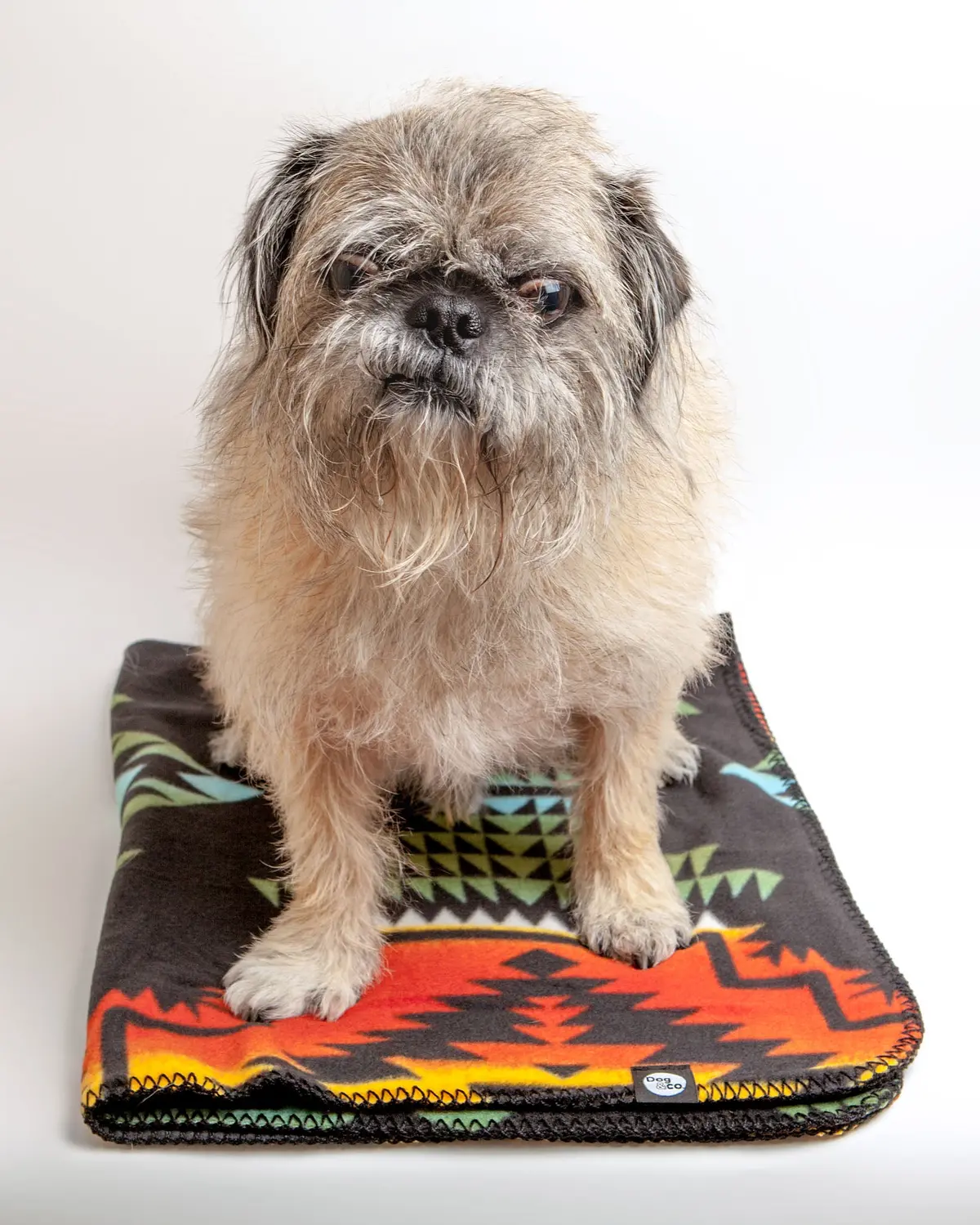 Aztec Fleece Blanket 1