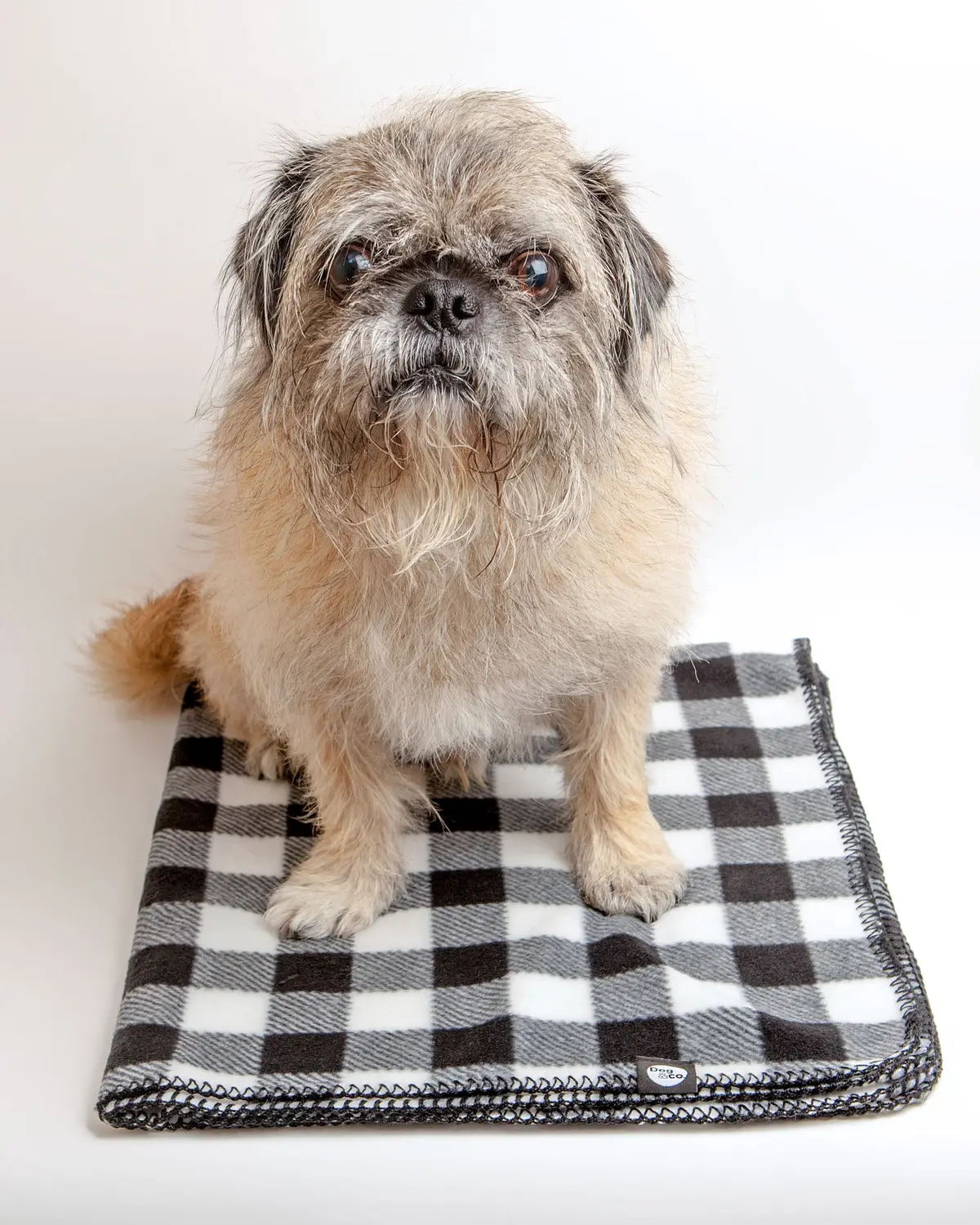 Buffalo Check Fleece Blanket 1