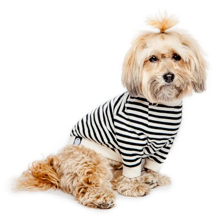 Dog & Co. | Cheeky Stripe Pullover In Black & White 1