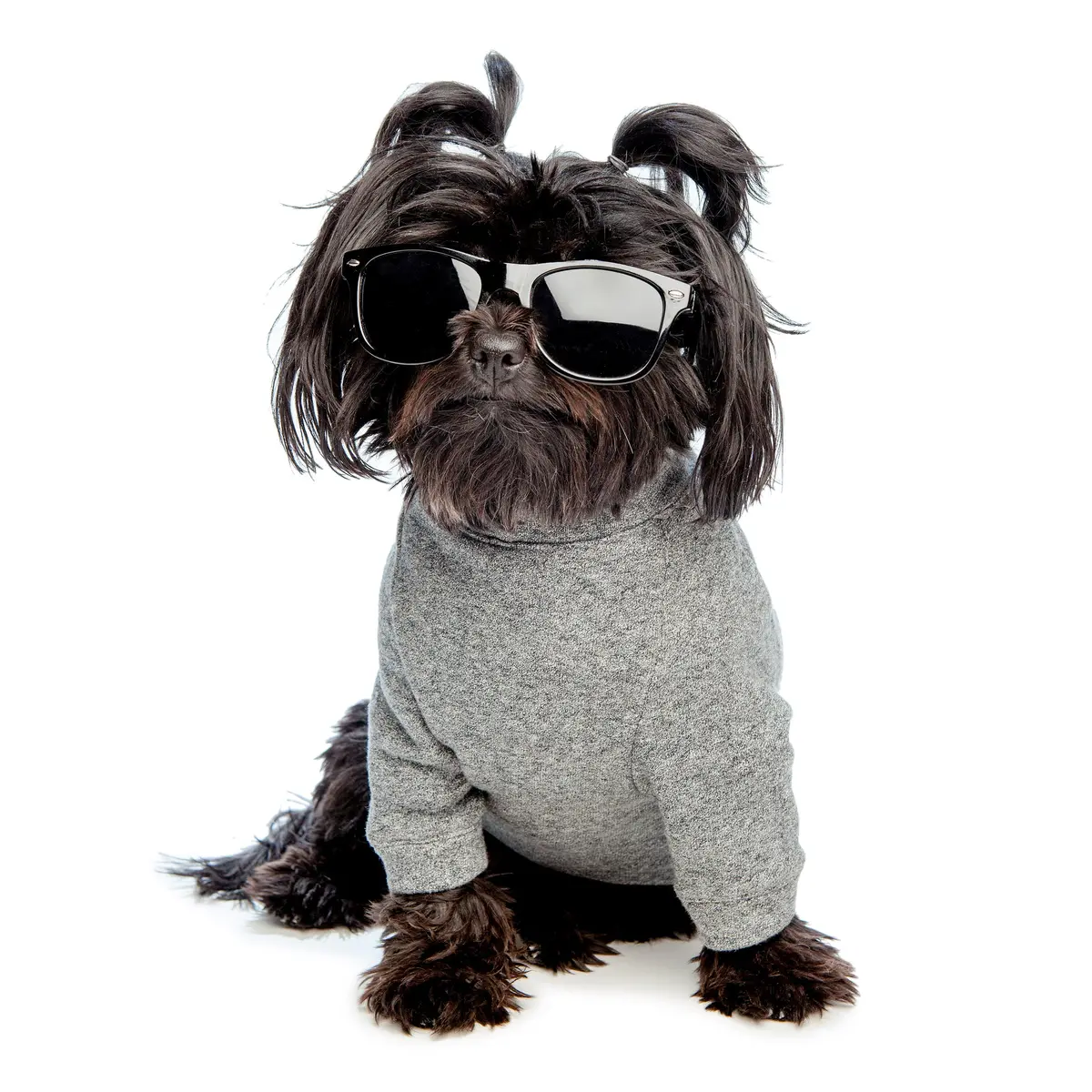 Dog & Co. | Crewneck Sweatshirt In Charcoal Grey 1