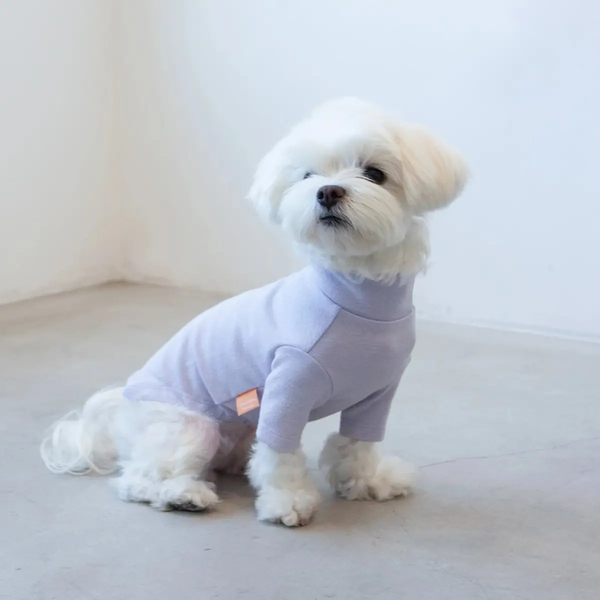 Dentists Appointment | Basic Turtleneck In Light Lavender 1