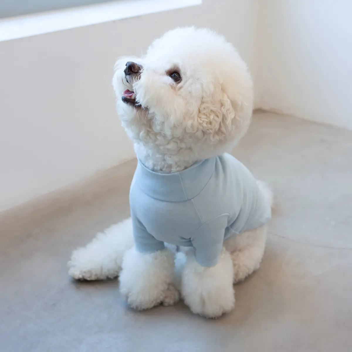 Basic Turtleneck In Light Blue (Final Sale) 1