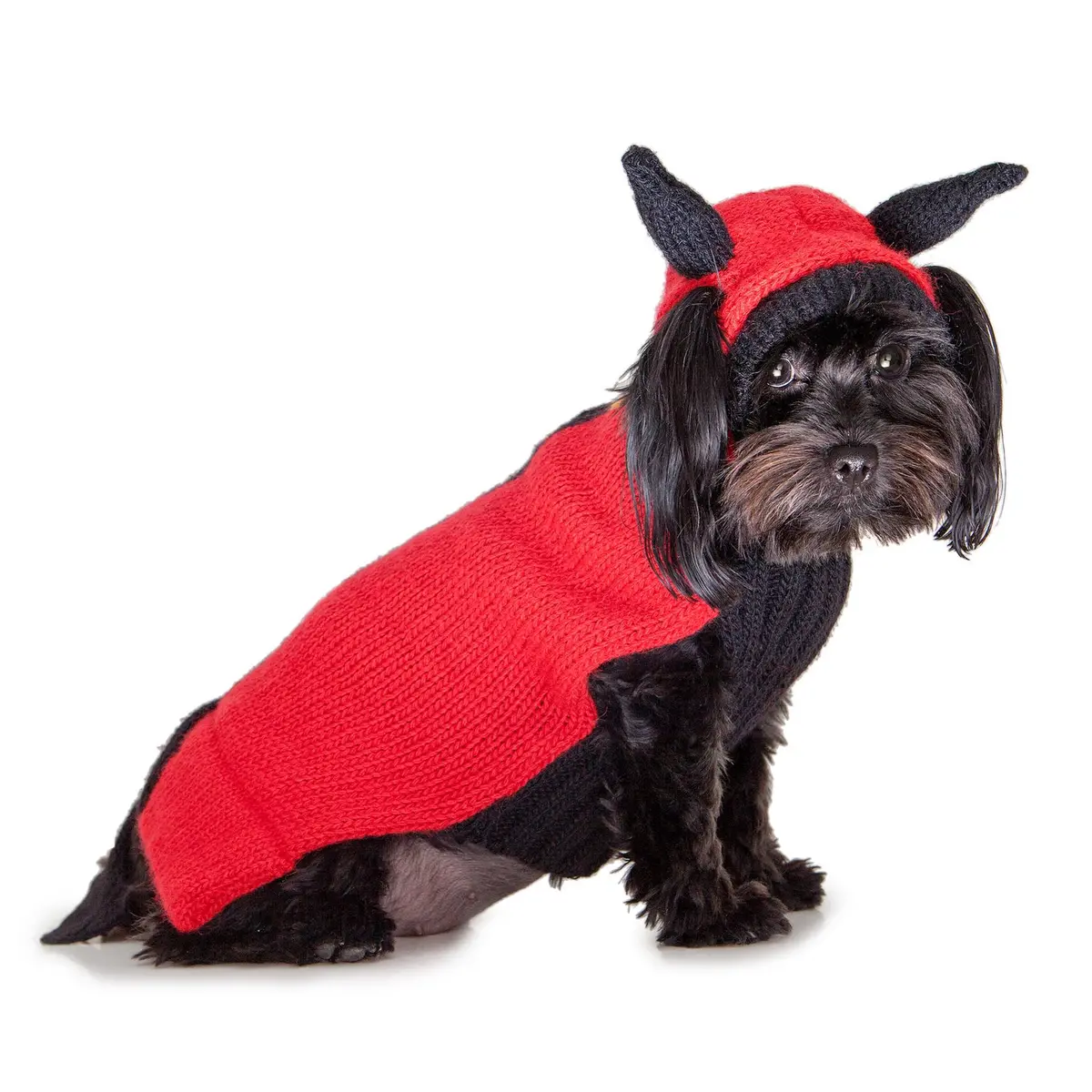 Peruvian Knits | Little Devil Sweater (Big Dog Sale) 1