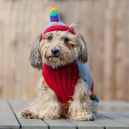 Peruvian Knits | Magical Unicorn Sweater 1