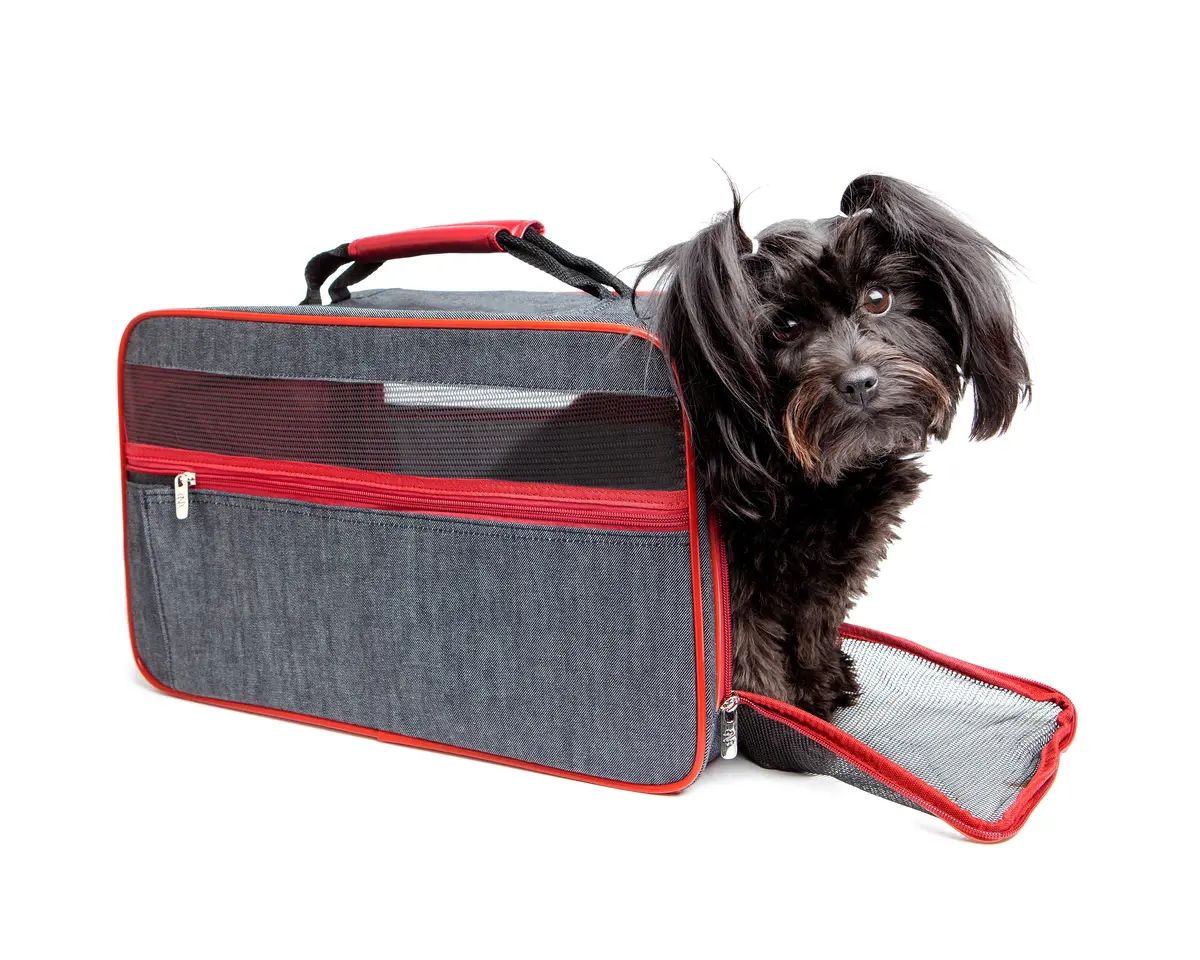 Bark N' Bag | Organic Denim Carrier 1
