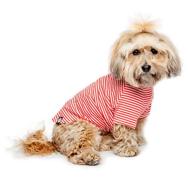 Dog & Co. | Perfect T In Red & White Stripe 1