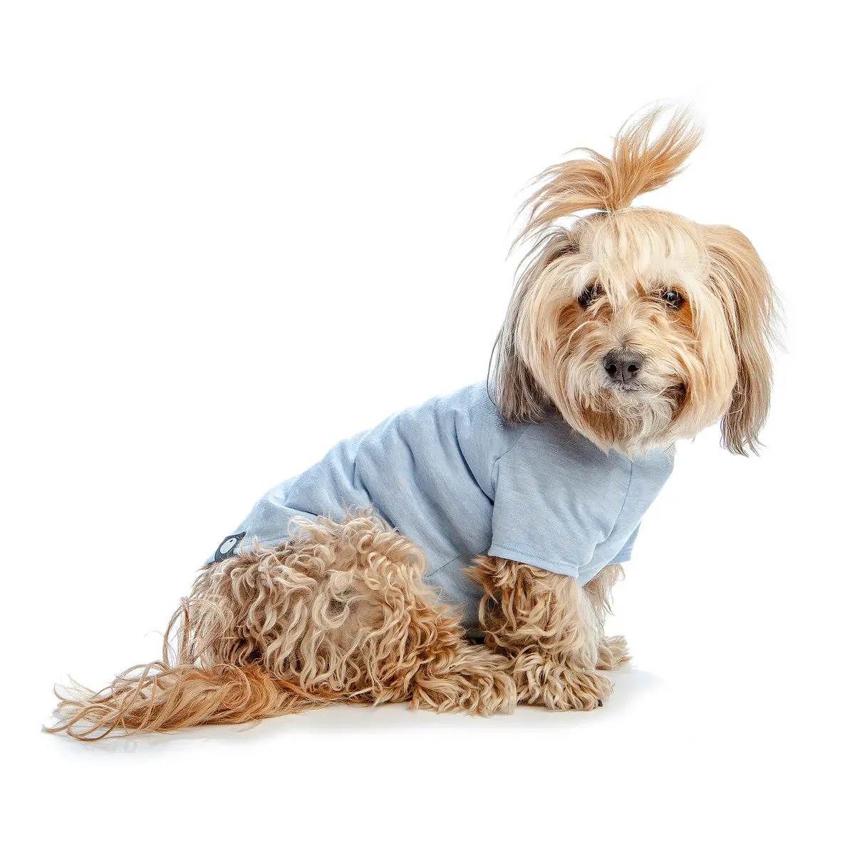 Dog & Co. | Perfect T In Light Blue Stretch 1