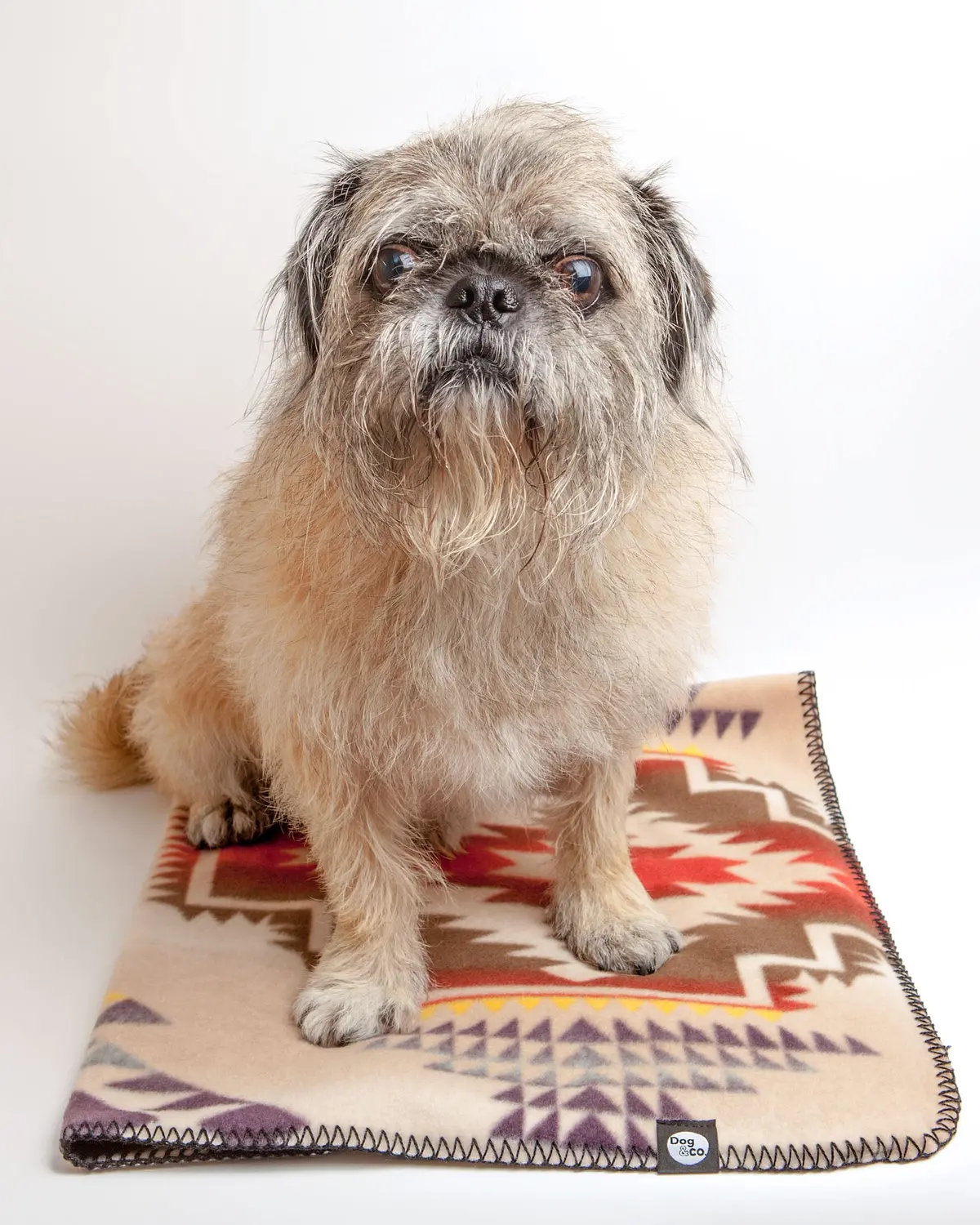 Santa Fe Fleece Blanket 1