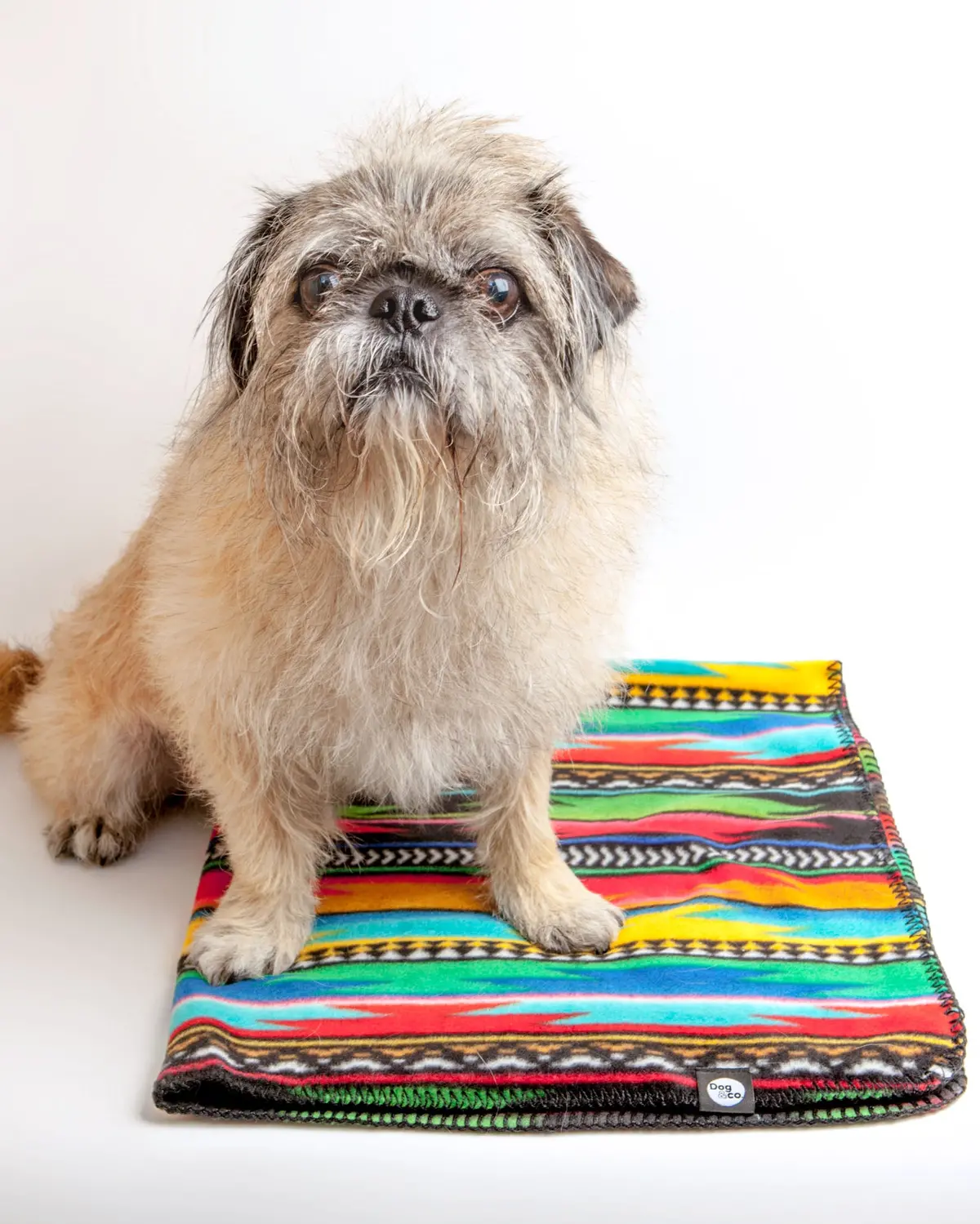 Serape Fleece Blanket 1