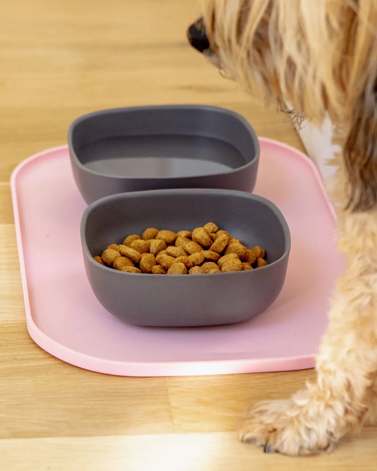Basic Dog Placemat In Baby Pink 1