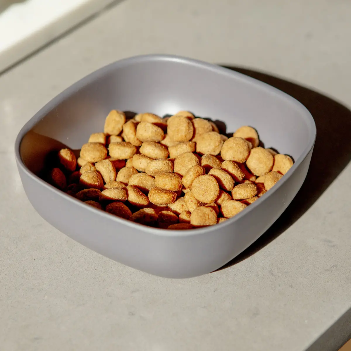 Biobu Gusto Dog Bowl In Smoke 1
