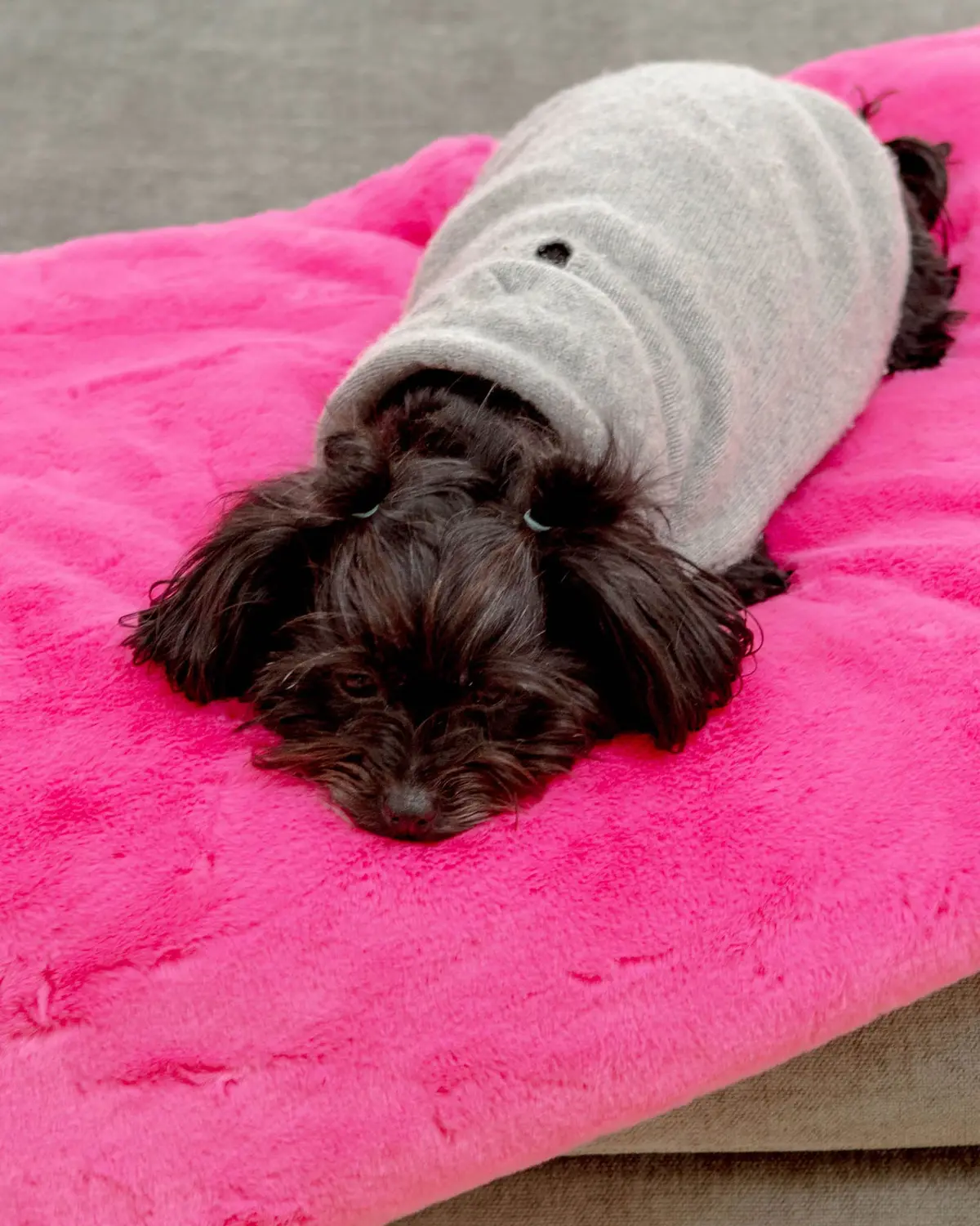 Mini Faux Fur Brady Dog Blanket In Bubble Pink 1