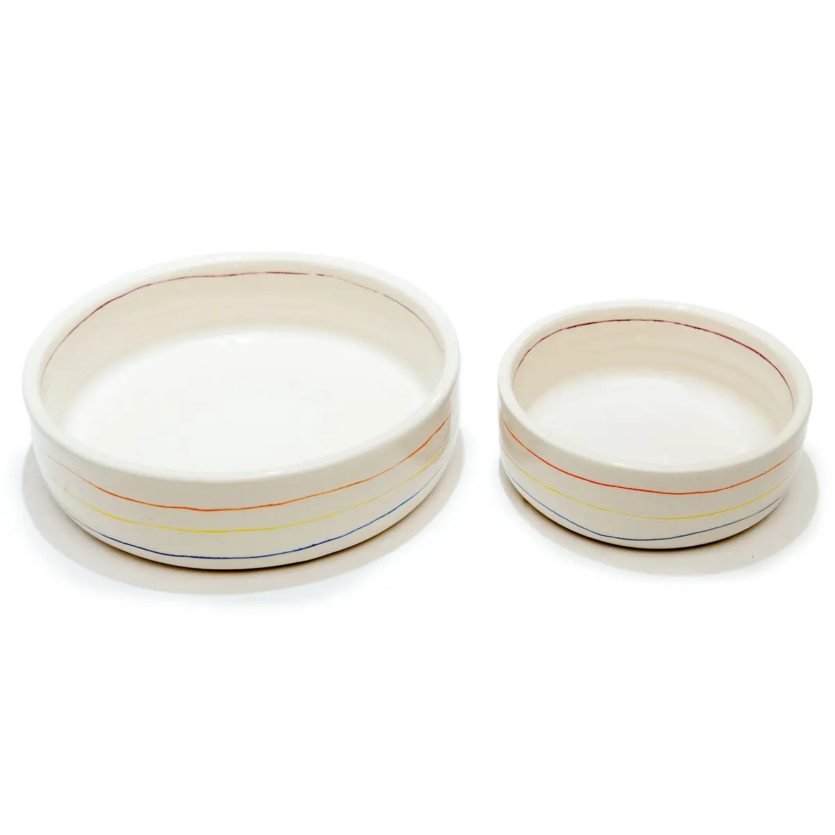 Colorful Stripe Bowl (Dog & Co. Exclusive) 2