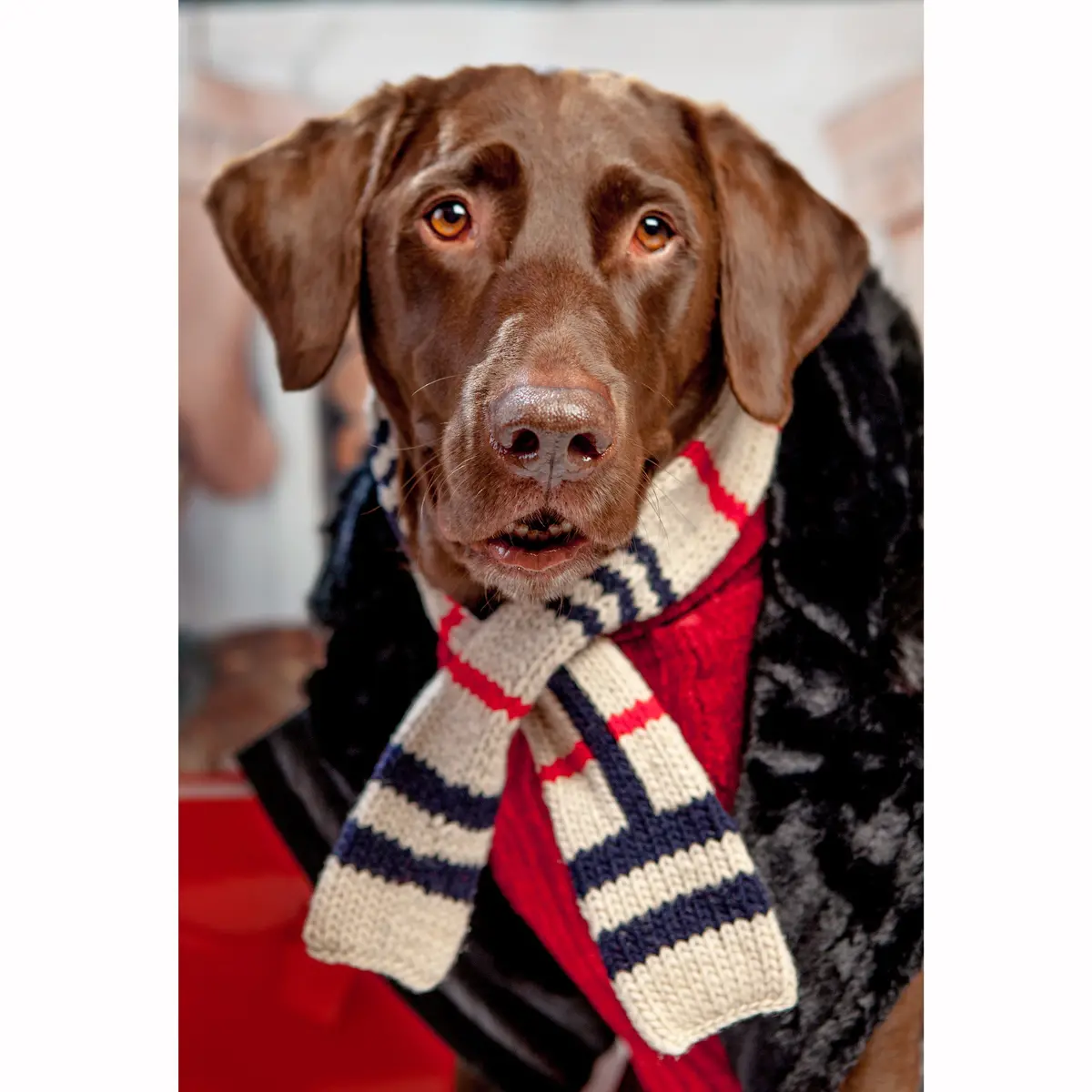 Chilly Dog | Tan Plaid Scarf 1