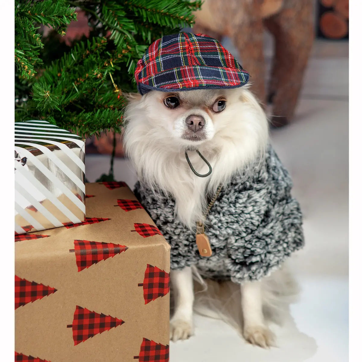 Croci | British Cap In Red Plaid 1