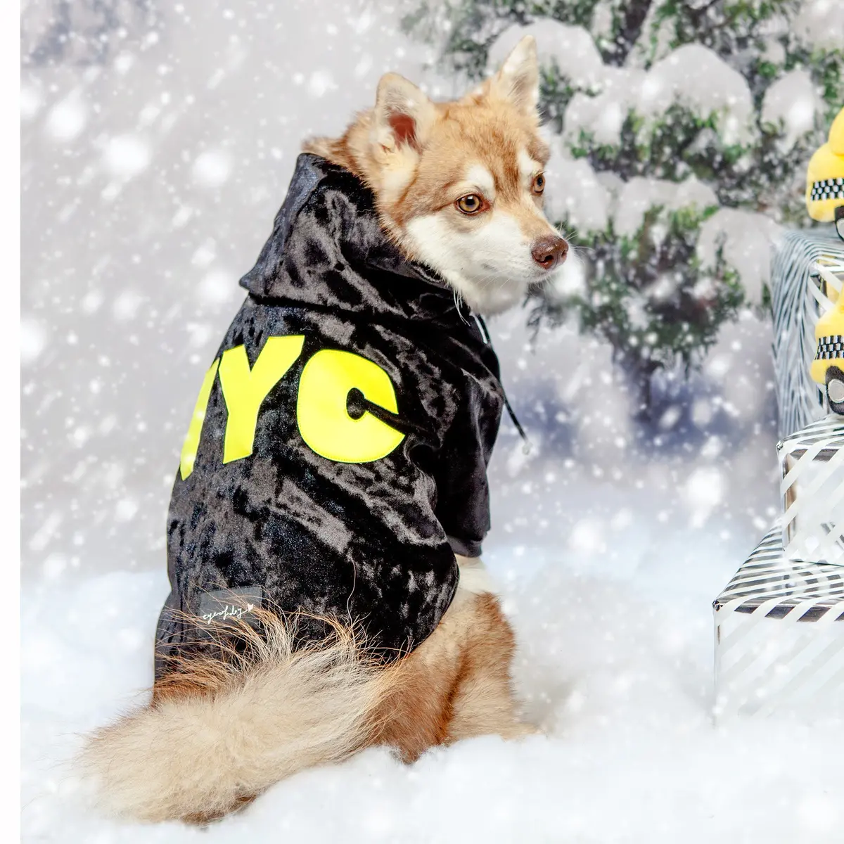 Black Velvet Nyc Hoodie (Dog & Co. Exclusive) (Final Sale) (Final Sale) 1
