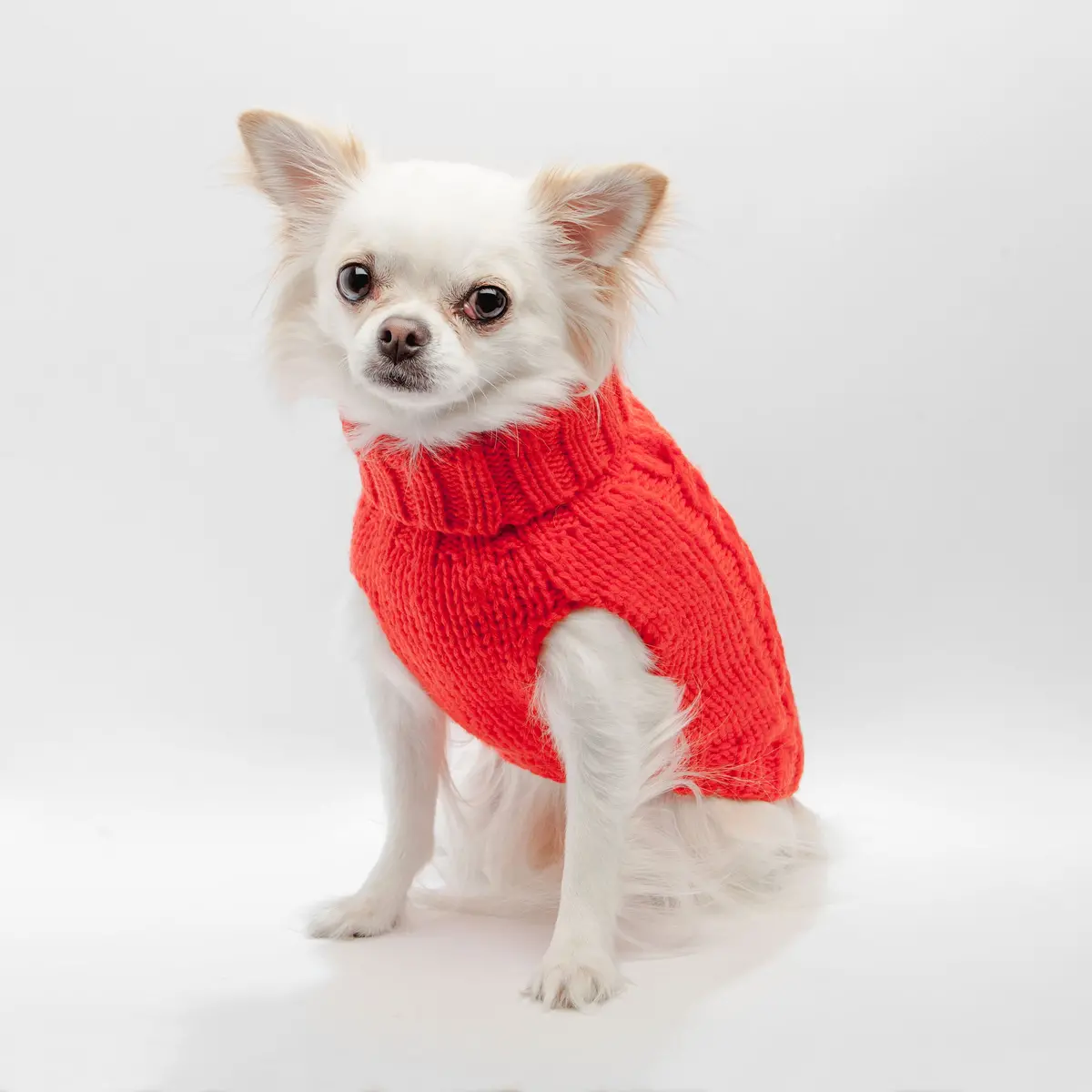 Hand Knit Turtleneck Sweater In Papaya Electric (Dog & Co. Exclusive) (Final Sale) 1