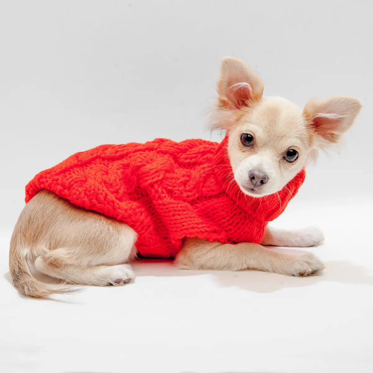 Hand Knit Turtleneck Sweater In Papaya Electric (Dog & Co. Exclusive) (Final Sale) 2