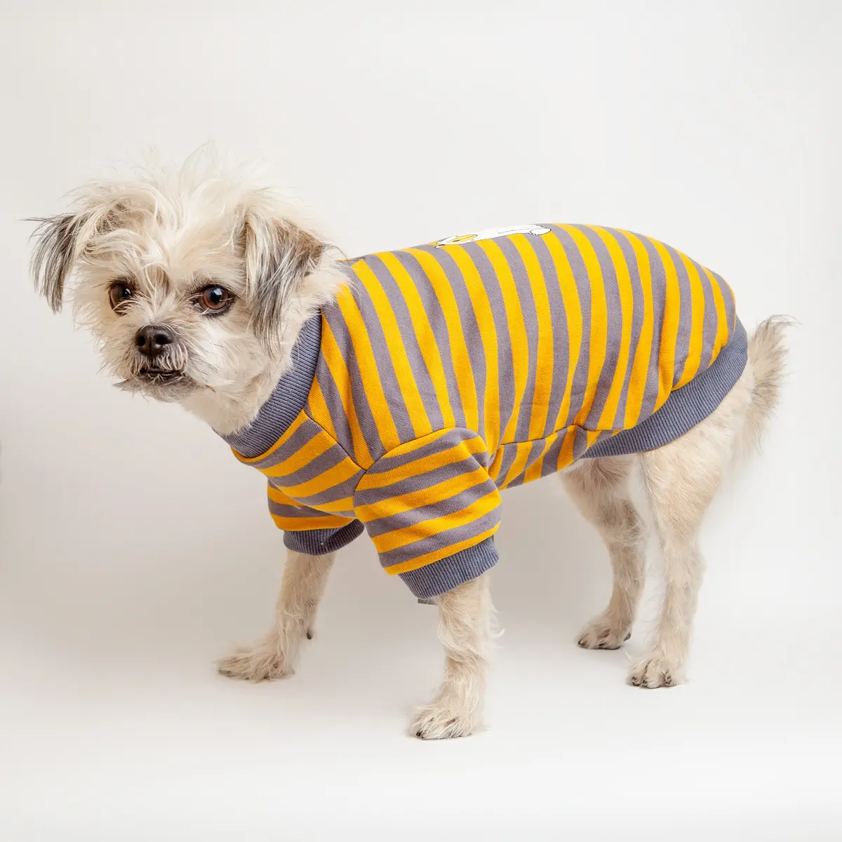 Morning Baby | Striped Polar Pullover 1