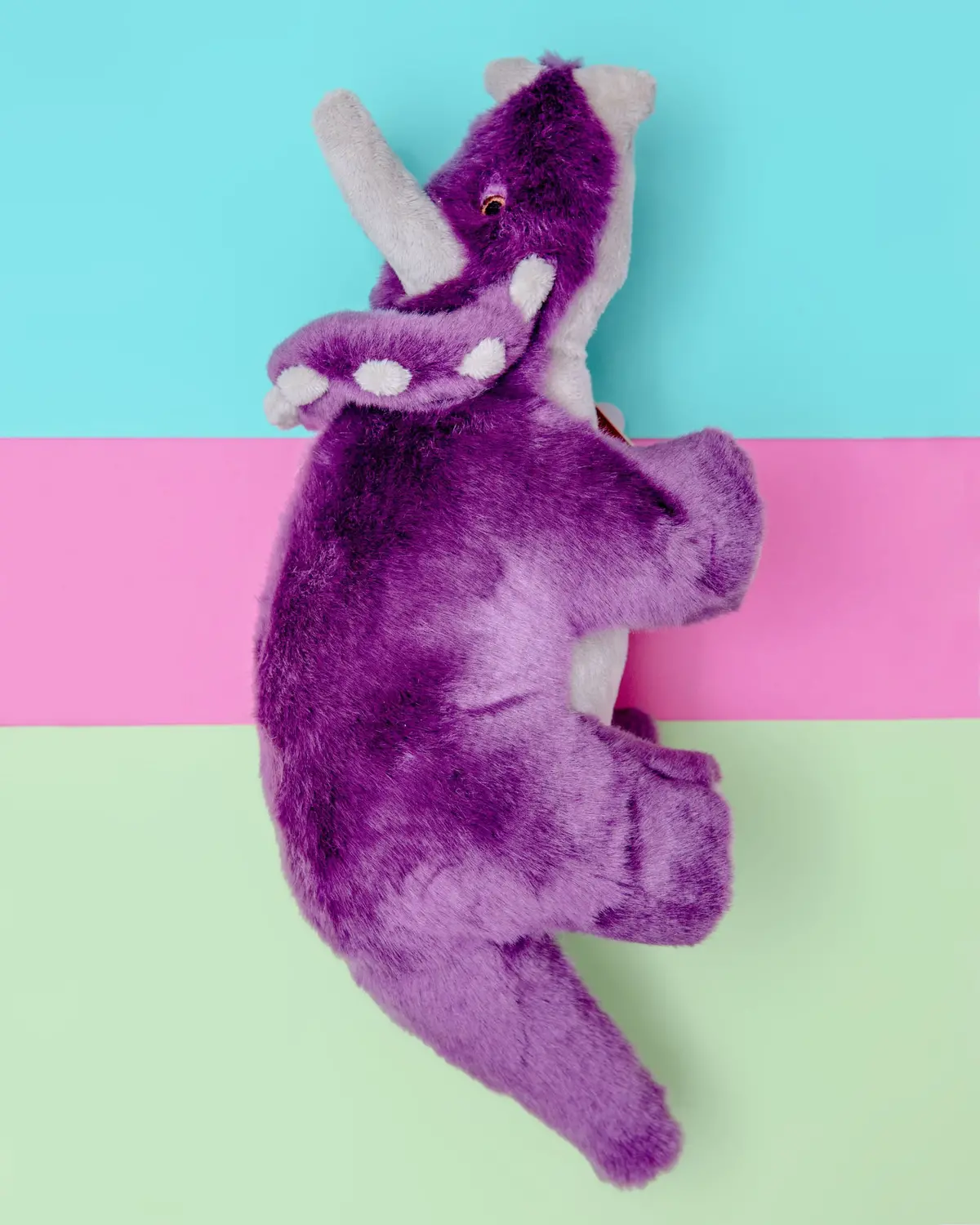 Charlie Triceratops Squeaky Plush Dog Toy 1