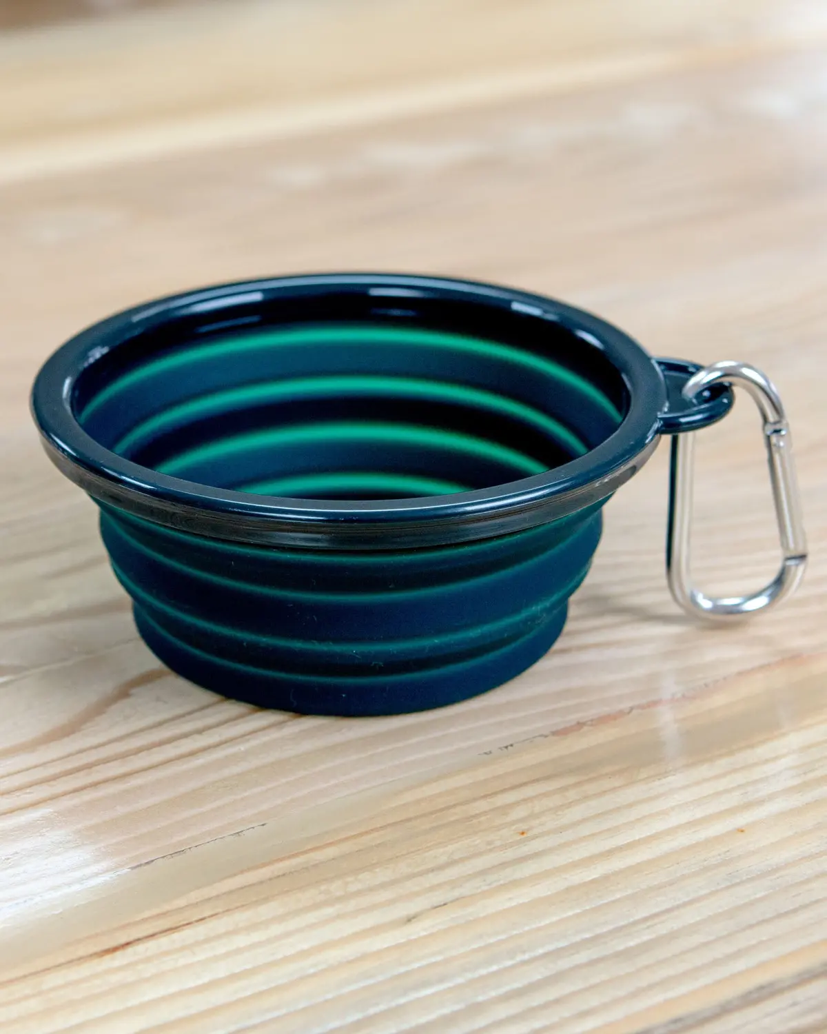 Single Travel Dog Bowl In Forest Green 1