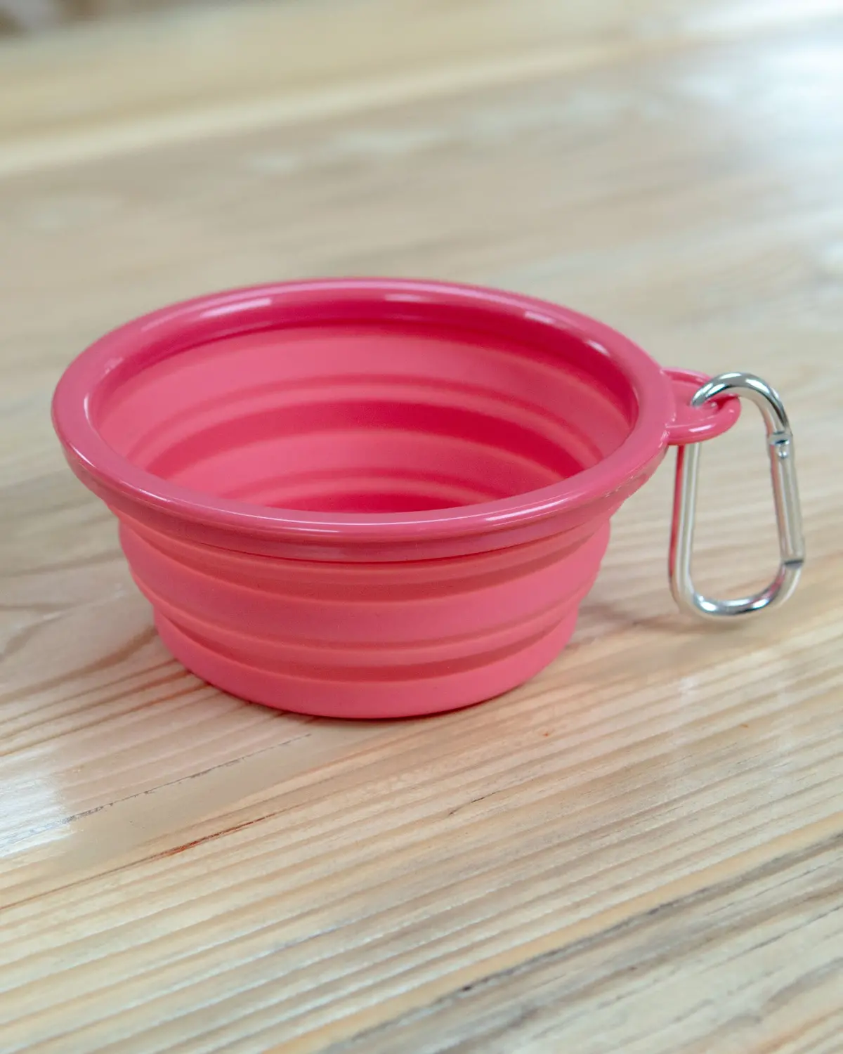 Single Travel Dog Bowl In Pink 1