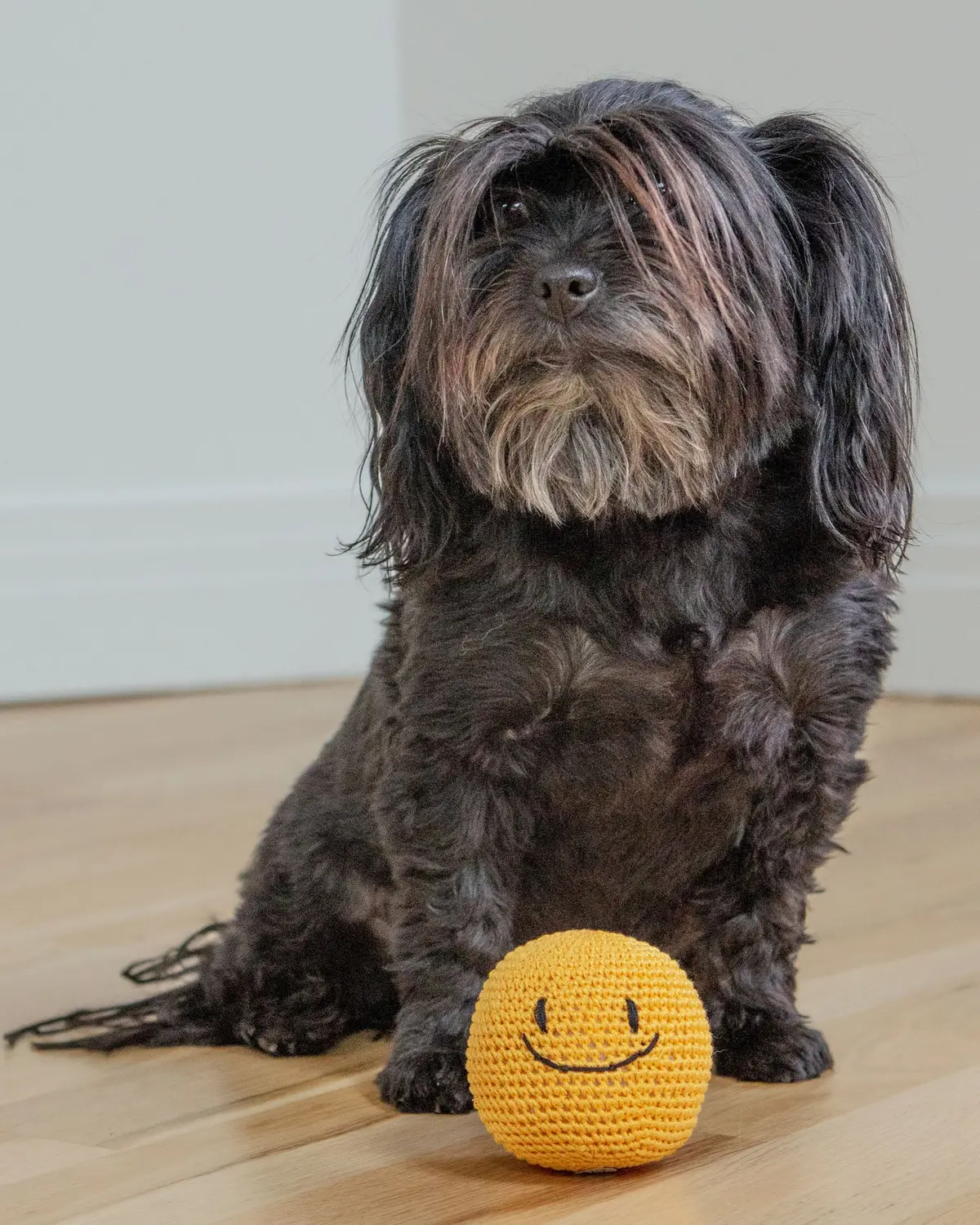 Smiley Face Dog Knit Squeaker Toy In Yellow 1