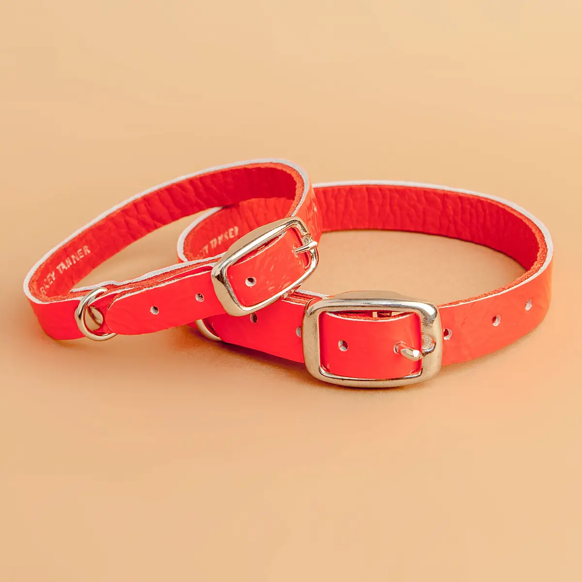 The Cleo Leather Tag Collar In Fluoro Red (Dog & Co. Exclusive) (Final Sale) 1