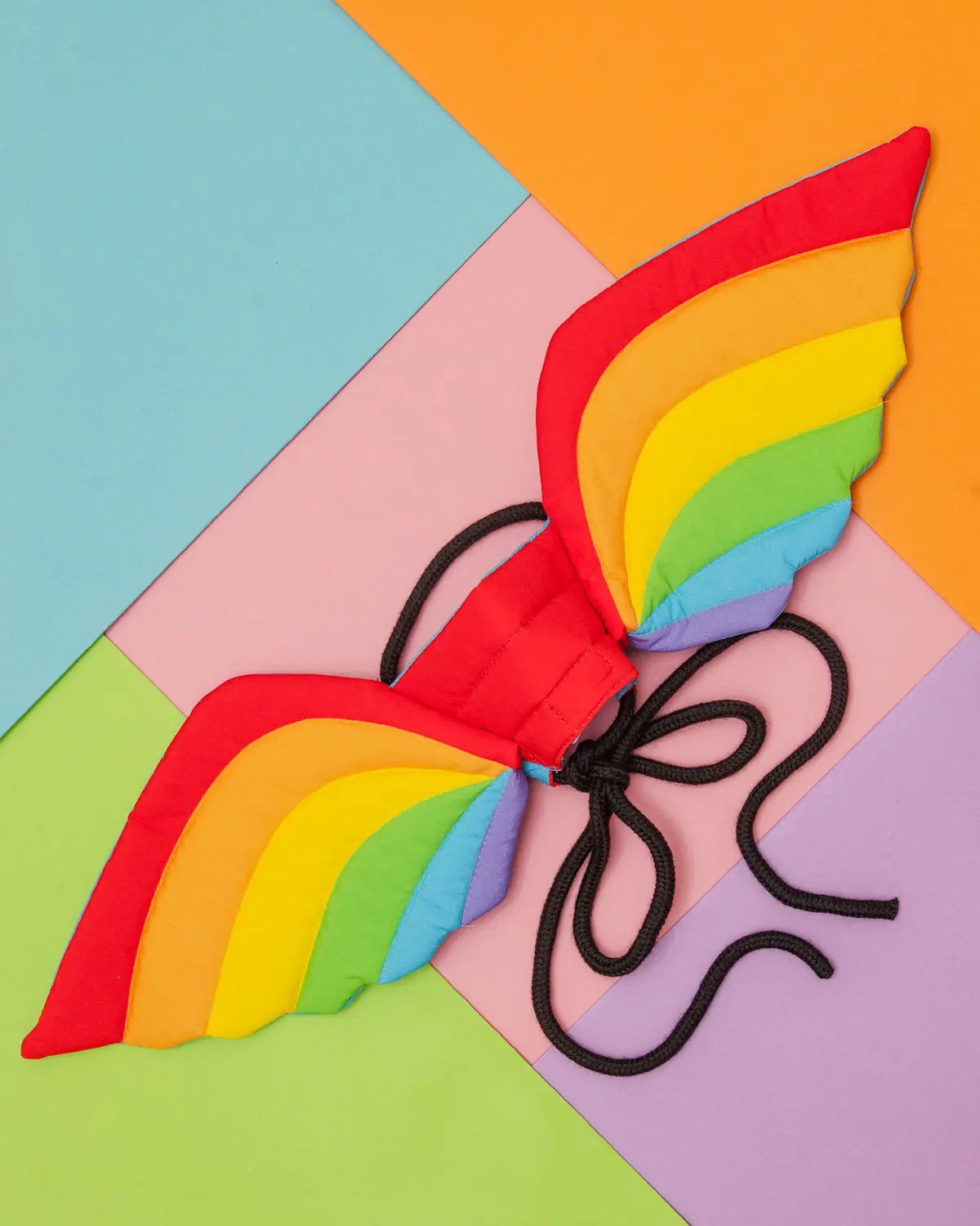 Adjustable Tie-On Rainbow Dog Wings 1