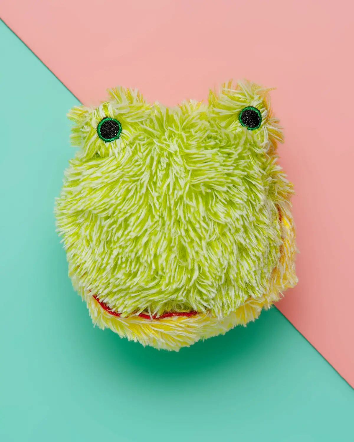 Ez Squeaky Frog Ball Toy 1