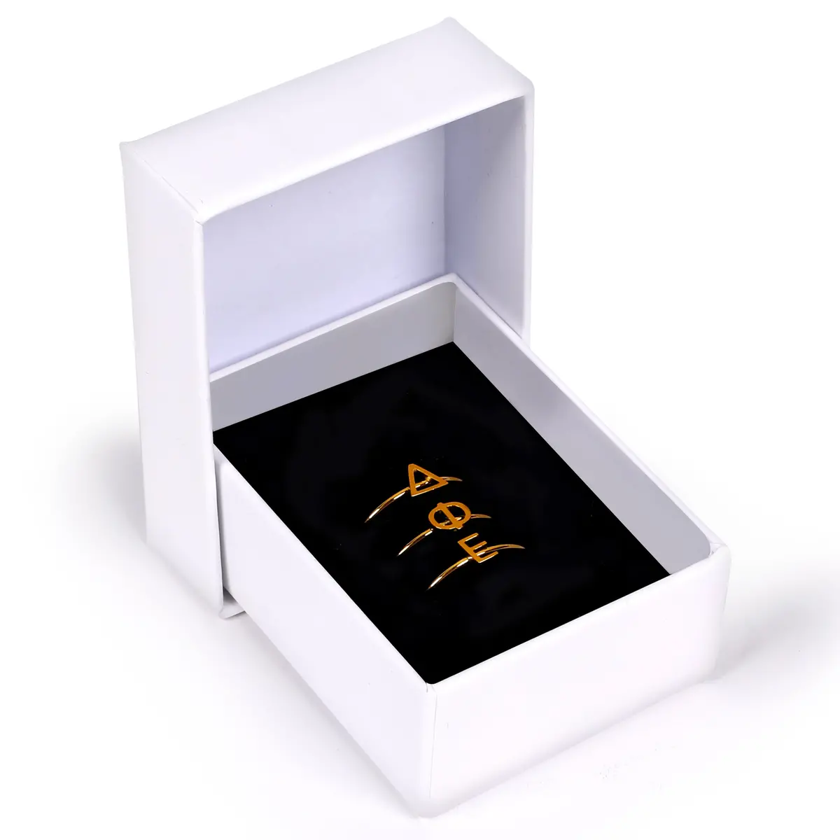 Delta Phi Epsilon Stacked Rings 1