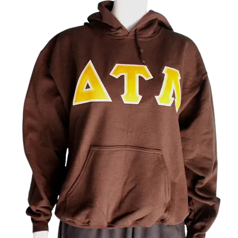 Delta Tau Lambda Greek Hoodie 1