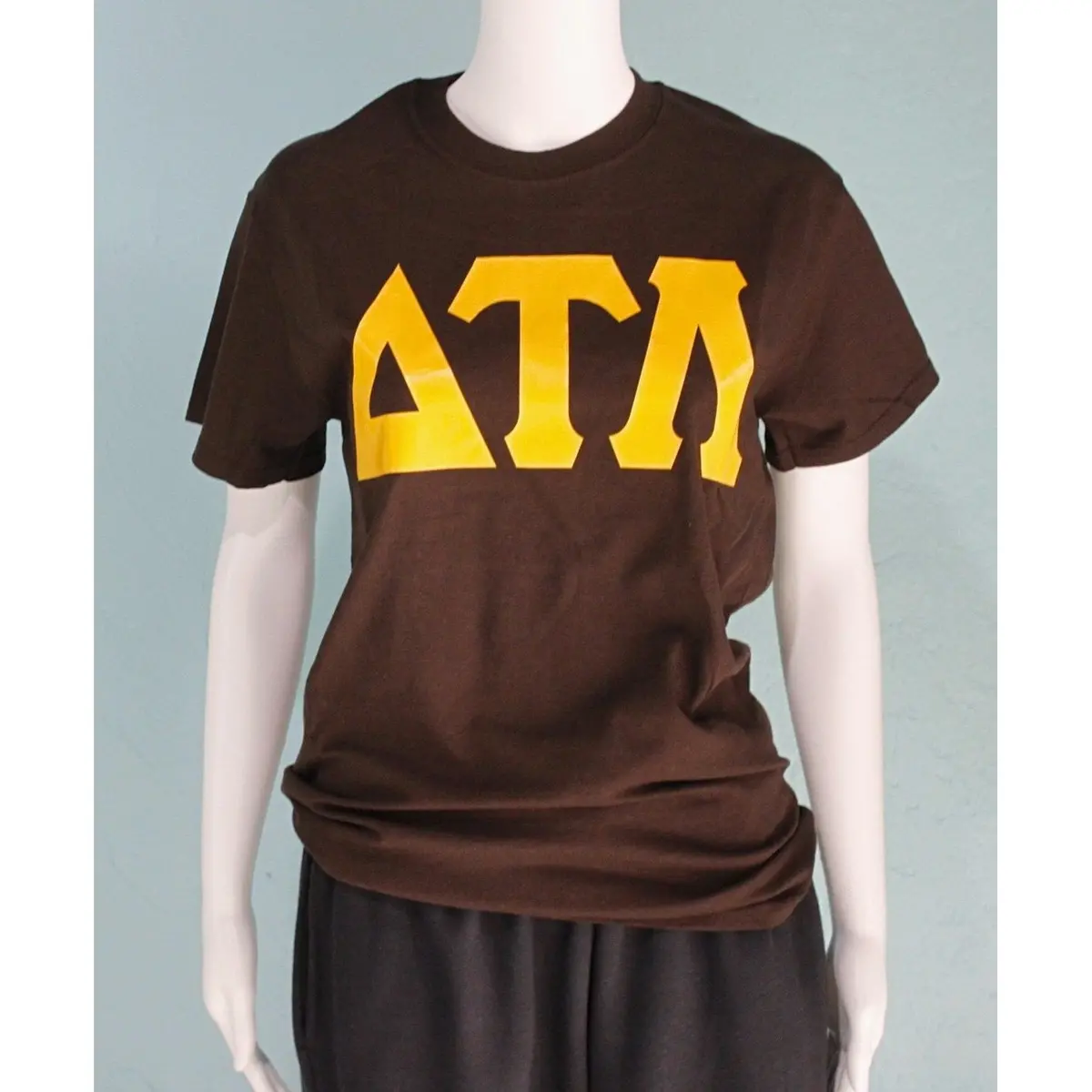 Delta Tau Lambda Vinyl Tee - Discontinued 1