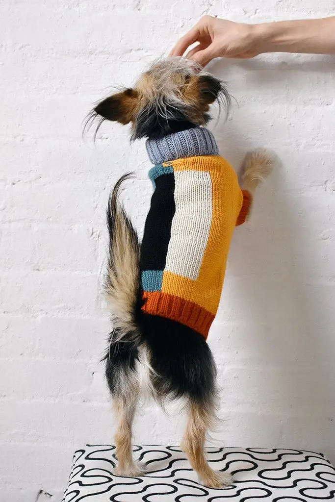 Dusen Dusen | Block Dog Sweater 1