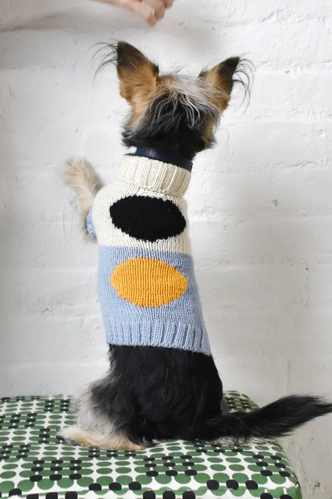 Dusen Dusen | Dot Dog Sweater 1