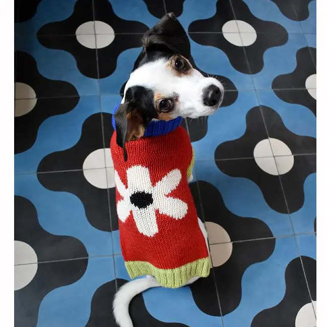 Dusen Dusen | Flower Dog Sweater 1