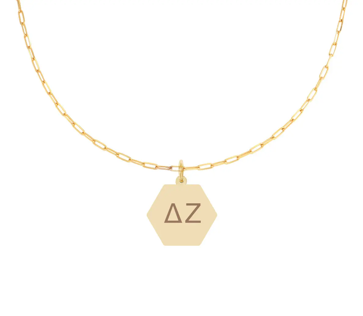 Delta Zeta Paperclip Necklace With Pendant 1