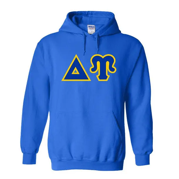 Delta Upsilon Greek Hoodie 1
